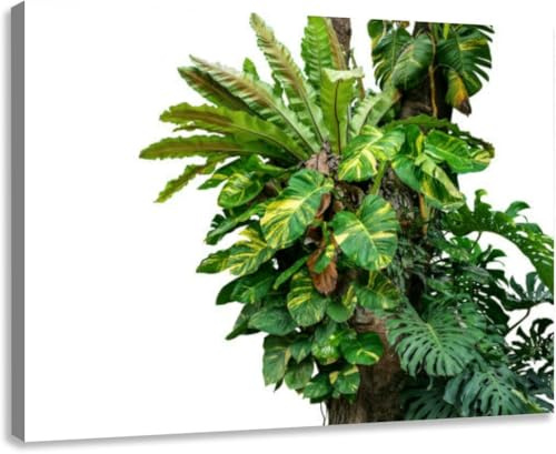 Canvas Wall Art for Living Room Bedroom Kitchen Bathroom Office Rainforest tree trunk tropical foliage plants Monstera golden pothos Framed Prints Pictures Wall Decor Posters Painting Artwork 36x24