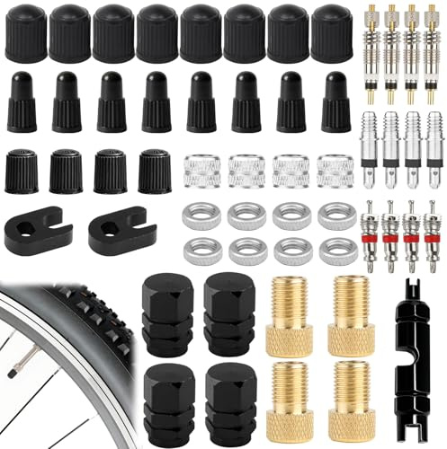 Lot de 55 Adaptateurs de Valve pour Vélo Compatible avec Presta Schrader