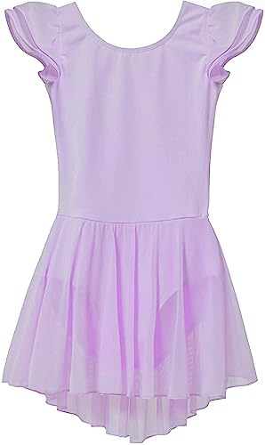 MdnMd Ballet Leotard for Girls Toddler Purple Dance Ballet Leotard Dress Skirted Ballerina Outfit Gymnastic (Age 4-6 / 4t,5t)