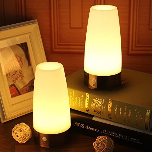 2pack Round Retro LED Night Light for Home,Small Lamp with Wireless PIR LED Motion Sensor Indoor/Outdoor,Battery Operated Lamp for Bedroom,Hallway,Kitchen…