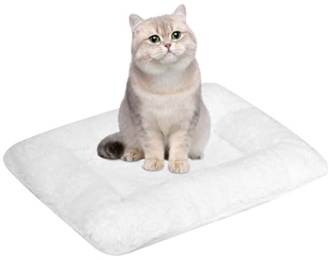 Bonlife White Pet Pad for Indoor,Winter Soft and Comfortable Warming Lambs Wool Cushion Suitable for Small Cat House,Washable Dog Bed Pad,45x45X6cm