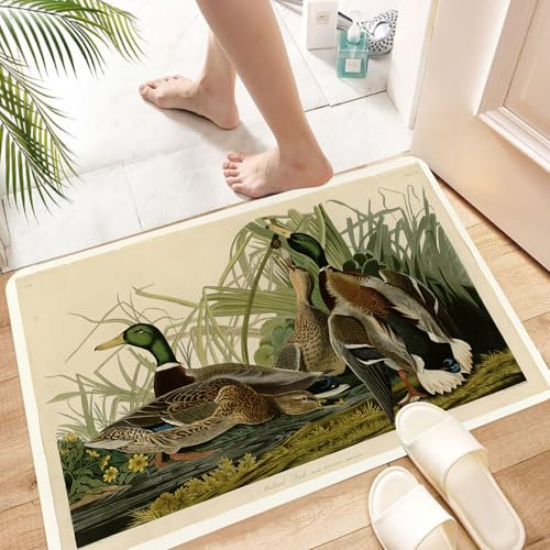 HKPOEQ Non-Slip Absorbent Microfiber Mats,Machine Washable Quick Dry Rugs,Memory Foam Bath Mat,Bathroom Accessories,Wild ducks, reeds and ducks in the water in the natural habitat show the b,24x39 in