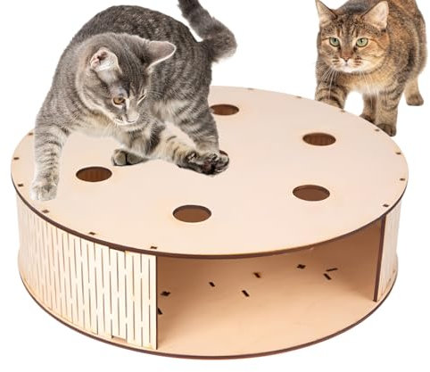Gioco Di Caccia Per Gatti,Gioco Interattivo Scatola Caccia Enigmistica per Gattini - Tiragraffi per Gatti, Accessorio per Animali Domestici da Interno Esterno per Salone Camera da Letto