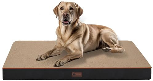 Doggyhut Hundebett Hundekissen Hunde - Orthopädisches Hundematratze,Flauschig mit Eiförmigem Matratze,Hundematte mit Abnembarer, Waschbarer Hülle und Rutschfestem Boden (XL-112x81x8 cm, Beige)