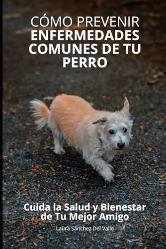 Cómo Prevenir Enfermedades Comunes de Tu Perro: Cuida la Salud y Bienestar de Tu Mejor Amigo