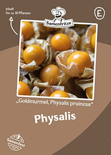 Ananaskirsche Goldmurmel Samen