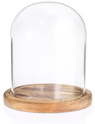 TOLIDA Dôme en verre avec socle en bois naturel - Cloche en verre décorative robuste - Pour lampes, bougies, roses, décorations antiquités pour Noël, anniversaires, Saint-Valentin