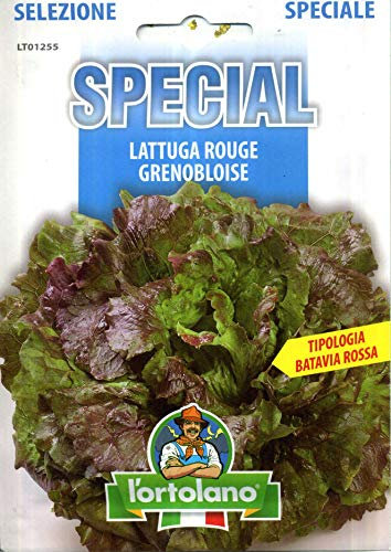 L'ORTOLANO Sementi Di Ortaggi Ibride E Selezioni Speciali Ad Uso Amatoriale In Buste Termosaldate (80 Varietà) (Lattuga Rouge Grenobloise)