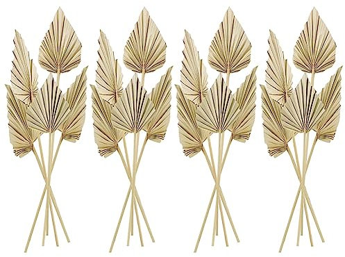 VENYAA Lot de 20 petits éventails en de feuilles de palmier séchées de style bohème avec tige séchée