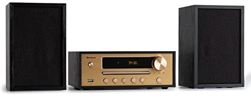 Auna Radio Portable Bluetooth, Poste Radio Numérique FM, MP3, Streaming, Port USB, Radio Portables Stéréo Compact, Télécommande, Radio FM Stéréo, Affichage LED, Alarme de Réveil, Alimentée au Secteur