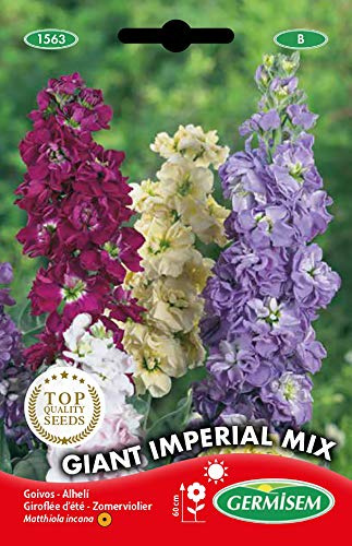 Germisem EC1563 Sementi