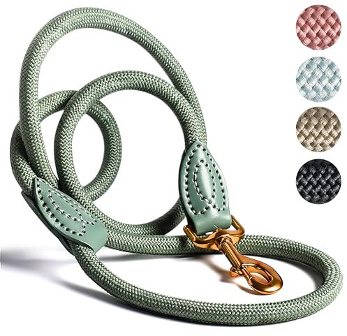ne&no Tauleine 1.7m (leicht dehnbar) für mittelgroße bis ganz große Hunde I Trainingsleine I Hundeleine robust I Führleine rund, geflochten I Seil Leine Hund I Cityleine I Dog Leash SALBEIGRÜN, 170 cm