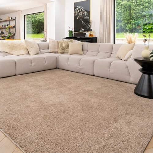 Brown Beige Machine Washable Warm Insulating Soft Cosy Touch Plush Thick Shaggy Rug for Bedroom Livingroom Hallway 120cm x 170cm (3ft 11 x 5ft 7)