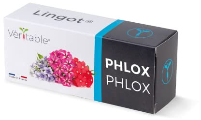 Lingot® Phlox - Compatible Potager d'Intérieur Véritable® et Exky® - Recharge prête à l'emploi - Substrat avec Graines Intégrées…