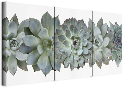 murando - Quadro Fonoassorbente Fiori Succulenti 180x90 cm 3 Pezzi - Canvas - Quadri Acustici Componibili XXL Grandi - Pannelli Fonoassorbenti Decorativi - Decorazione Parete Soggiorno b-B-10028-b-a