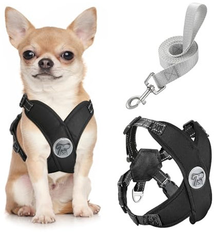 Pawaboo Hundegeschirr mit Hundeleine Set, X-Rahmen Verstellbares Anti Zug Anti-Erstickung Hund Brustgeschirr für Kleine, Mittelgroße Hunde & Welpen, Atmungsaktive Hundeweste mit Leine (S, Schwarz)