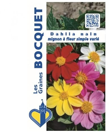 Sachet de graines de Dahlia nain Mignon varié - 1 g - fleur annuelle - LES GRAINES BOCQUET
