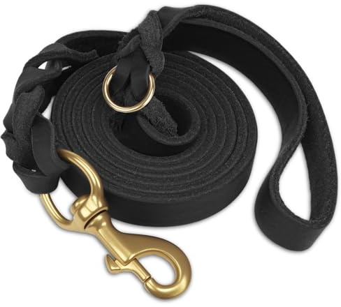 Joytale hundkoppel i läder, starkt slitstarkt äkta koskinn med mässingskrok, mjukt och bekvämt träningskoppel i läder för stora medelstora små hundar (svart, 15 cm x 9 cm)