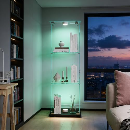 HYNHXBP Vetrine, vetrine in Vetro, armadi Verticali in Vetro, Armadietto con Illuminazione a LED, Ante e Maniglie,Adatti per salotti, camere da Letto, uffici (nero1-3)