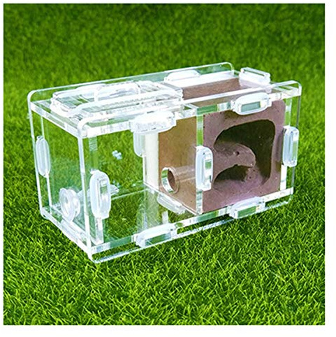 Nid Fourmis Boîte Fourmilière Petite Ferme Fourmi Acrylique Insectes Villa Élevage Maison Fourmis Nid Atelier pour Animaux Compagnie Château Cage D'élevage pour Fourmis D'étude (Color : Purple)