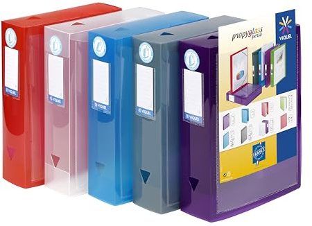 Viquel - Lot de 6 boites de classement en plastique personnalisable - Lot 6 boites à archive grande capacité - Boites de rangement assorties - Dos de 8 cm - Fabriqué en France