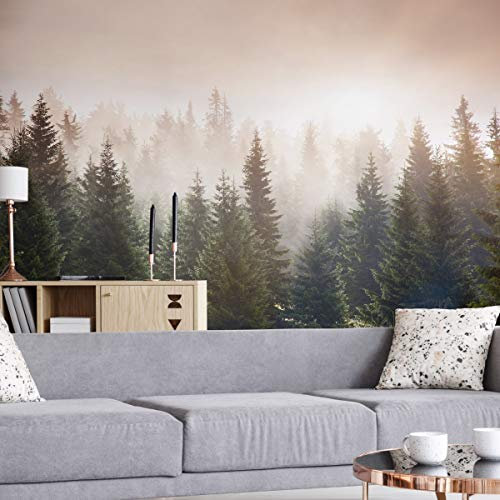 Wallepic Vlies Fototapete Wald im Nebel / 162901781 Moderne Tapete Wohnzimmer Schlafzimmer Büro Flur Wandtapete XXL Mehrfarbig Abstrakt Ideen Dekor Wandtattoo Br.360xHö.240