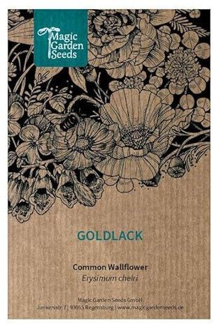 Giroflée jaune (Erysimum cheiri) 300 graines de plante odorante populaire du Moyen Age. Fleur à couper. Bonne plante fourragère pour les abeilles. Vivace.