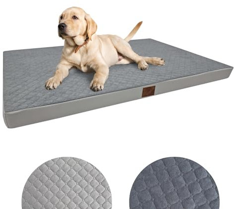 Odolplusz Orthopädisches Hundebett Grosse Hunde | Hundekissen für mittelgroße und große Hunde | Hundematratze mit Waschbarem Bezug | (Grau, 100x70x7cm)