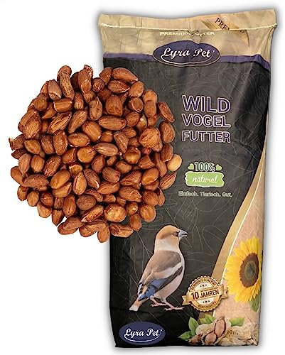 Lyra Pet® | 20 kg Erdnusskerne mit Haut | Neue Ernte | Ganzjahres Vogelfutter für Wildvögel | Ideal für Sommer & Winter | Natürliche & Energiereiche Erdnüsse | Streufutter für Große Vögel & Tauben