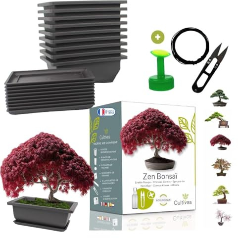 CULTIVEA® Kit Prêt à Pousser Bonsaï – Graines Françaises 100% Écologiques - Jardinez et décorez - Idée Cadeau - Made in France (Coffret duo bonsaï, 1)