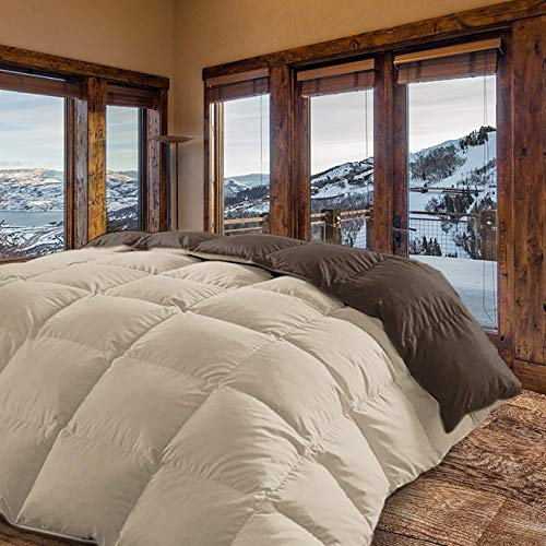 - Moscow - Edredón / Relleno Nórdico Reversible Máxima Calidad Transpirable 350 gr/m2 Microfibra Alta Densidad Invierno/Otoño (Crema - Marrón, Cama 135 y 150 (240 x 260 cm))