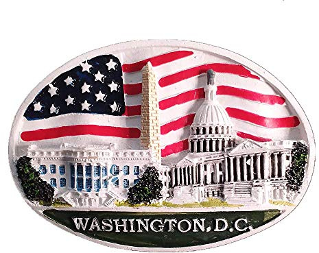 The White House Washington D.C.USA Magnete da frigorifero souvenir di viaggio Collezione regalo decorazione casa e cucina adesivo magnetico America frigorifero magnete