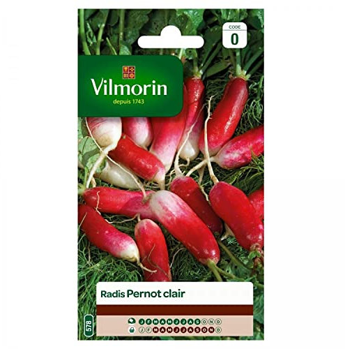 Vilmorin - Radis Pernot