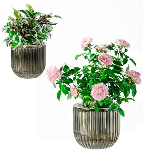 Josteve Vasi per piante autoirriganti per interni, 21/13,5 cm, confezione da 2 vasi da fiori in plastica per orchidee, piante da appartamento, violette africane, fioriera visibile a livello dell'acqua