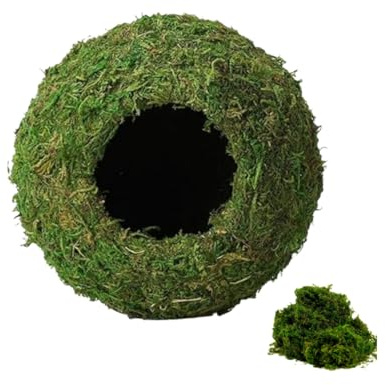 AILAMIAO Cachette humide pour reptile avec mousse verte naturelle – Cachette humide pour gecko à crête, gecko léopard, grenouille et serpent, décoration d'habitat bioactif (M)
