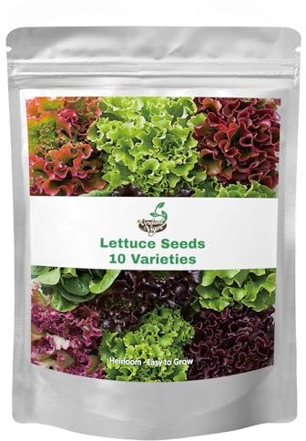 20,000+ Lettuce Seeds, Heirloom Vegetable Seed for Planting Indoor Outdoor, 10 Varieties of Fresh Salad Greens for Hydroponics Kit, Easy to Grow for Garden Beginners, Non-GMO