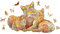 Yefun Holzpuzzle Erwachsene, Jigsaw Puzzle Erwachsene, 100 Teile Katze Forma Animale Holzpuzzle für Erwachsene und Kinder, Wooden Tiere Puzzle Geschenkpackung 16X24.4CM