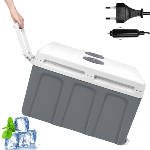 PEILU Mini frigorifero da 48 litri per auto e moto, con funzione di raffreddamento e mantenimento del calore, alimentatore da 240 V e connettore accendisigari da 12 V per campeggio, feste e viaggi
