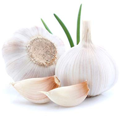 250 semi di aglio bianco - Piante fiori vegetali cerotto vegetale aromatico -semi riproducibili