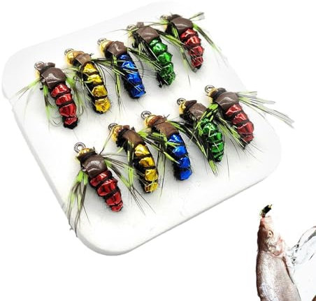 Fliegen-Popper-Köder, Barsch, Fliegenfischer-Set - 10-teiliges Trockenfliegen-Sortiment,Helle Farben, exquisites Fliegenfischer-Set für Salzwasser- und Süßwasserfischer