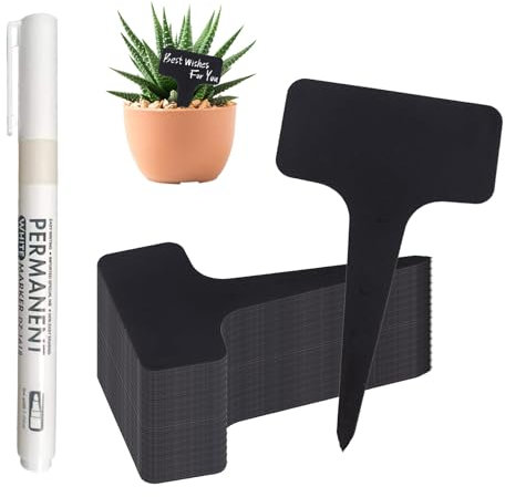 ARTGUTS Lot de 100 étiquettes pour plantes - Résistantes aux intempéries - En plastique - 6 x 10 cm - Avec marqueur - Pour herbes et légumes