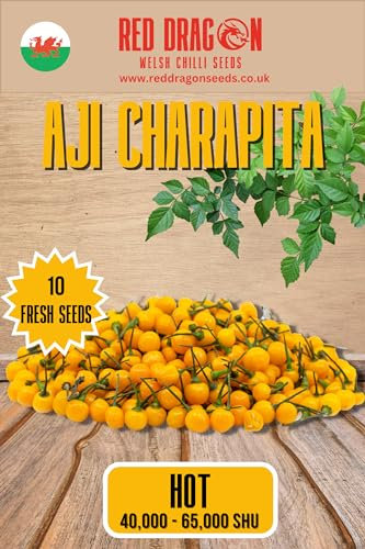 AJI Charapita Yellow Chilli Seeds - AJI Charapita Yellow Pepper Seeds