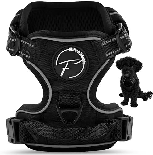 Hundegeschirr für kleine und mittelgroße Hunde reflektierend aus Nylon - Anti Zug Geschirr ideal für Trainingseinheiten mit Welpen - atmungsaktive mesh Polsterung (Schwarz, Gr. S)