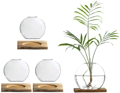 wangsdjy Glass Planter Propagation Station with Wooden Base - Clear Oblate Hydroponic Vase, Decorative Desktop Flower Vase for Home, Office, Windowsill - Gift for Plant Lovers (4)