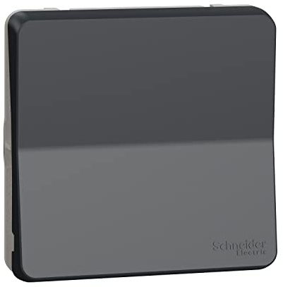 Schneider Electric - Mureva Styl - Interrupt bipolaire - composable - IP55 IK08 - connex auto - gris - MUR35034