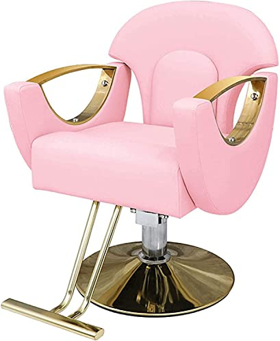CAOMEIYING Salon Chair Hydraulic Chair Business or Home,Beauty Styling Chair Beauty Shop Salon Chair Barber Chair Styling Chair Hydraulic Swivel Classic Hair,420 lbs (Color : Black) (Pink ) convenien