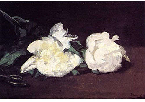 Branch of White Peonies and Secateurs by Edouard Manet