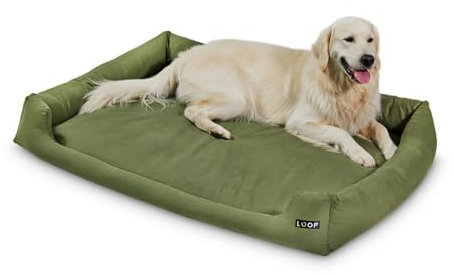 Loop Orthopädisches Hundebett Grün 3XL für große Hunde - Recyceltes Flockenfüllmaterial, Waschbarer, robuster Baumwollbezug mit soliden Reißverschlüssen, Allergikerfreundlich, Indoor/Outdoor