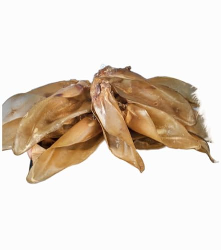 DEI NATURE Oreilles de bovin séchées, lot de 12 unités de collation naturelle de boeuf pour chiens, convient régime Barf