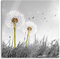 Pixxprint Glasbild, Wandbild auf Echtglas, Pusteblumen auf Wiese, 40x40 cm, inkl. Aufhängung und Abstandshalter